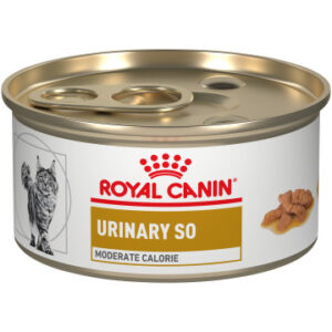 Royal Canin Urinary SO Moderate Calorie Morsels in Gravy Canned Cat Food