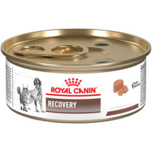 Royal Canin Recovery Ultra Soft Mousse in Sauce Canned Cat and Dog Food