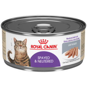 Royal Canin Spayed & Neutered Loaf in Sauce Canned Cat Food