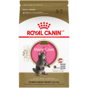 Royal Canin Maine Coon Kitten Dry Cat Food