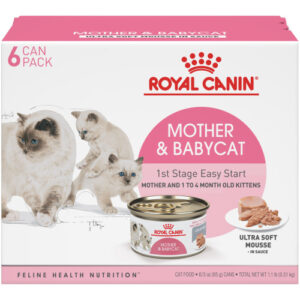 Royal Canin Mother & Babycat Ultra-Soft Mousse in Sauce Wet Cat Food case of 24 0.51kg