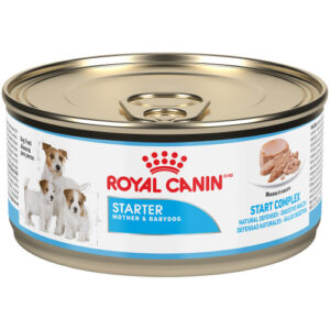 Royal Canin Starter Mousse Mother & Babydog Wet Canned Dog Food, case of 24, 165g