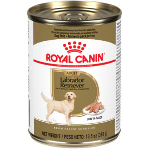 Royal Canin Labrador Retriever Loaf in Sauce Case of 12 Canned Dog Food 385g