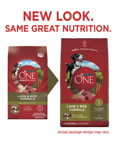 Purina one dog food lamb hot sale and rice