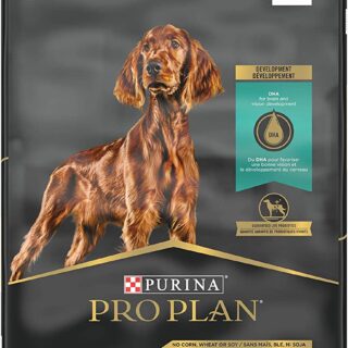 PURINA Pro Plan Puppy Sensitive Skin & Stomach Lamb & Oatmeal Dry Dog Food 10.9kg