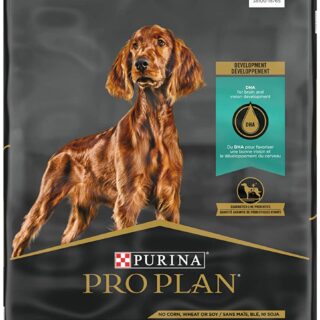 PURINA Pro Plan Puppy Sensitive Skin & Stomach Salmon & Rice Dry Dog Food 10.9kg