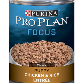 PURINA Pro Plan FOCUS Puppy Chicken & Rice Entrée Classic Case of 12 Wet Dog Food 368g