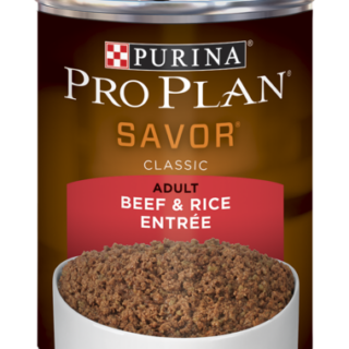 PURINA Pro Plan SAVOR Adult Beef & Rice Entrée Classic Case of 12 Wet Dog Food 368g