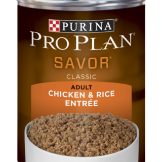 PURINA Pro Plan SAVOR Adult Chicken & Rice Entrée Classic Case of 12 Wet Dog Food 368g