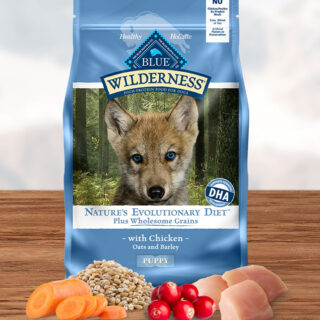 BLUE BUFFALO Wilderness Nature's Evolutionary Diet Plus Wholesome Grains Chicken, Oats and Barley Dry Puppy Food 10.9kg