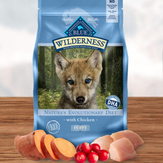 BLUE BUFFALO Wilderness Puppy Chicken Recipe Grain-Free Dry Dog Food 10.9kg