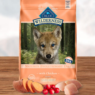 BLUE BUFFALO Wilderness Large Breed Puppy Chicken Recipe Grain-Free Dry Dog Food 10.9kg