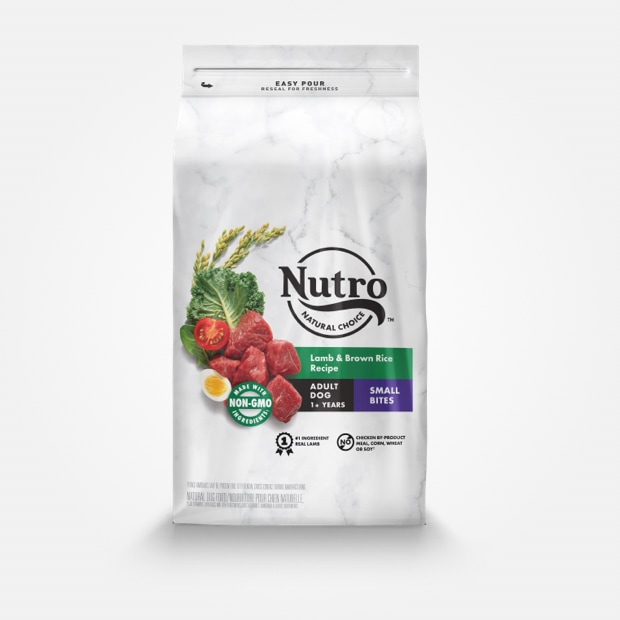 Nutro lamb small sales bites