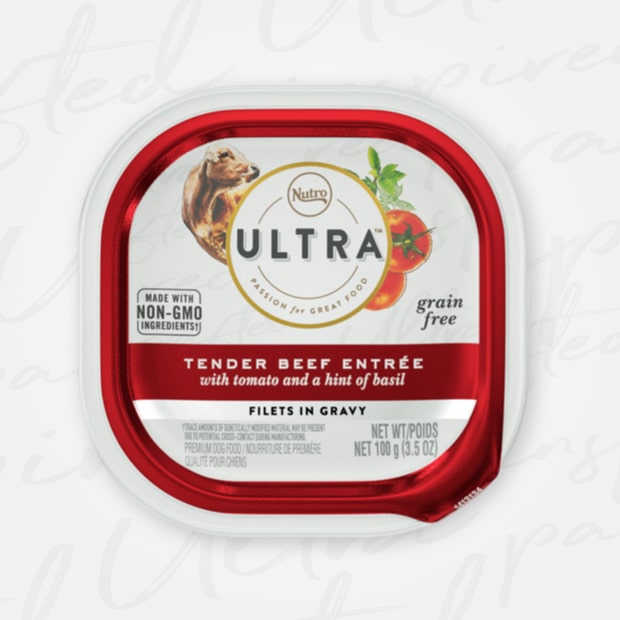 Nutro Ultra Grain Free Filets in Gravy Tender Beef Entree Adult Case of 24 Wet Dog Food Trays 100g