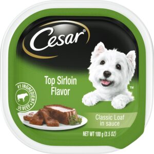 Cesar Classic Loaf in Sauce Top Sirloin Flavor Case of 24 Wet Dog Food Trays 100g