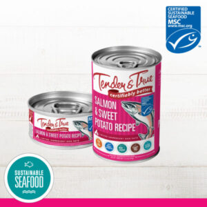 TENDER AND TRUE SALMON & SWEET POTATO GRAIN-FREE CASE OF 24 CANNED DOG FOOD 156G