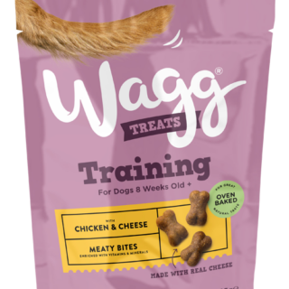 WAGG TRAINING MINI BONES WITH CHICKEN AND CHEESE OVEN BAKED DOD TREATS 125G