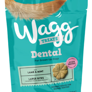 WAGG DENTAL LARGE BITES WITH LAMB & MINT OVEN BAKED DOG TREATS 100G