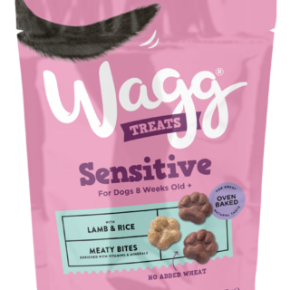 WAGG SENSITIVE MEATY BITES WITH LAMB & RICE OVEN BAKED DOG TREATS 125G