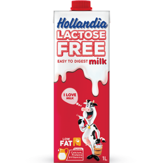 Hollandia Lactose Free Milk 1LTR