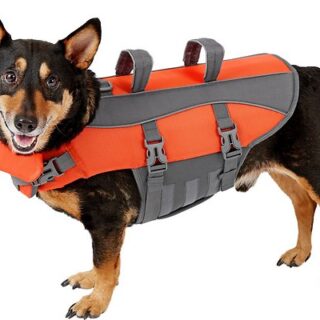 Frisco Ripstop Dog Life Jacket, Medium