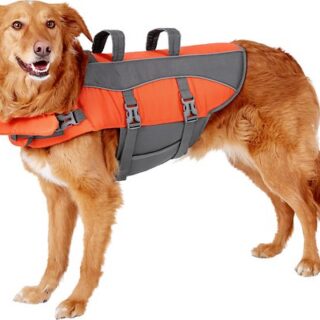 Frisco Ripstop Dog Life Jacket, Large