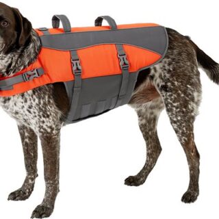 Frisco Ripstop Dog Life Jacket, X-Large