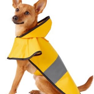 Frisco Rainy Days Dog Raincoat, Small