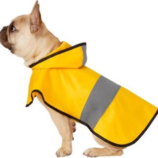 Frisco Rainy Days Dog Raincoat, Medium