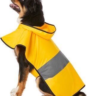 Frisco Rainy Days Dog Raincoat, X-Large