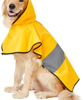 Frisco Rainy Days Dog Raincoat, XX-Large