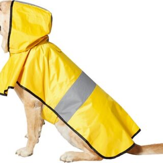 Frisco Rainy Days Dog Raincoat, XXX-Large