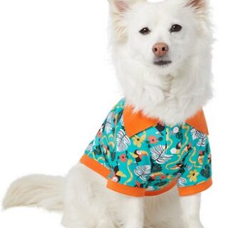 Frisco Jungle Dog & Cat Polo Shirt, Small