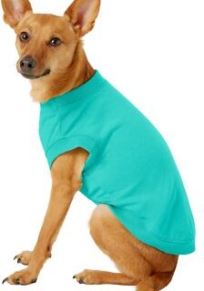 Frisco Basic Dog & Cat T-Shirt, Teal, Small