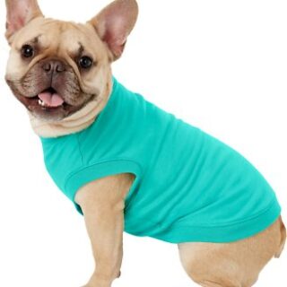 Frisco Basic Dog & Cat T-Shirt, Teal, Medium