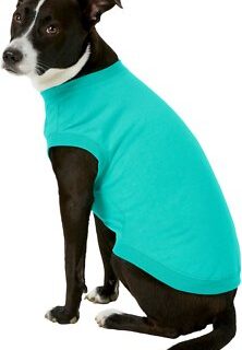 Frisco Basic Dog & Cat T-Shirt, Teal, Large