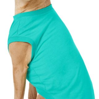 Frisco Basic Dog & Cat T-Shirt, Teal, X-Large