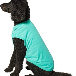 Frisco Basic Dog & Cat T-Shirt, Teal, XXX-Large