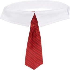 Frisco Striped Dog & Cat Neck Tie, Red, X-Small/Small