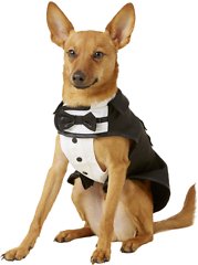 Frisco Formal Dog & Cat Tuxedo, Black, Small