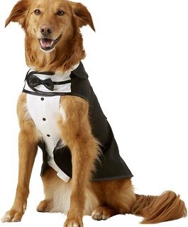 Frisco Formal Dog & Cat Tuxedo, Black, X-Large