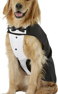 Frisco Formal Dog & Cat Tuxedo, Black, XX-Large