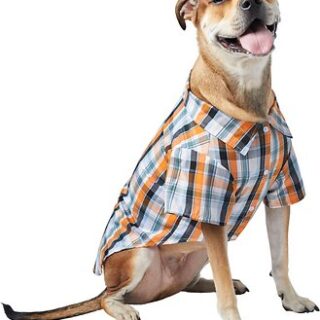 Frisco Plaid Dog & Cat Button Up Shirt, Large