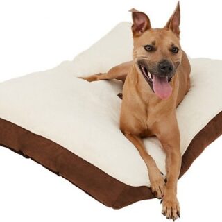 Frisco Pillow Cat & Dog Bed, Large