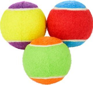 Frisco Fetch Squeaking Colorful Tennis Ball Dog Toy, 3-Pack