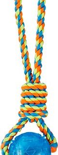 Frisco Rope with Squeaking Ball Dog Toy