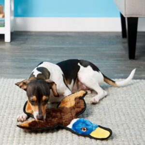 Frisco Flat Plush Squeaking Duck Dog Toy, Medium