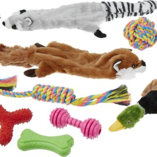 Frisco Forest Friends Plush, Rope & TPR Variety Pack of 10 Dog Toy