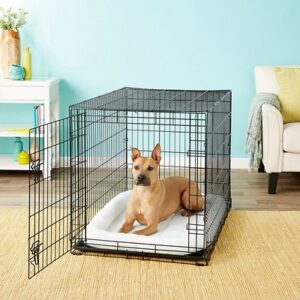 Frisco Fold & Carry Single Door Collapsible Wire Dog Crate, 42 inch