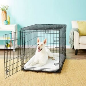 Frisco Fold & Carry Single Door Collapsible Wire Dog Crate, 48 inch